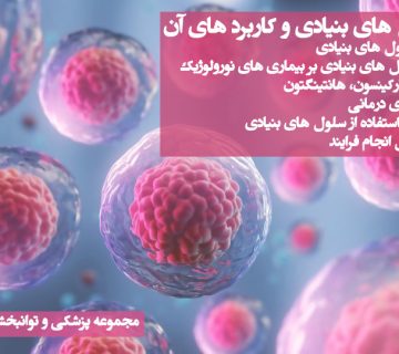 سلول های بنیادی