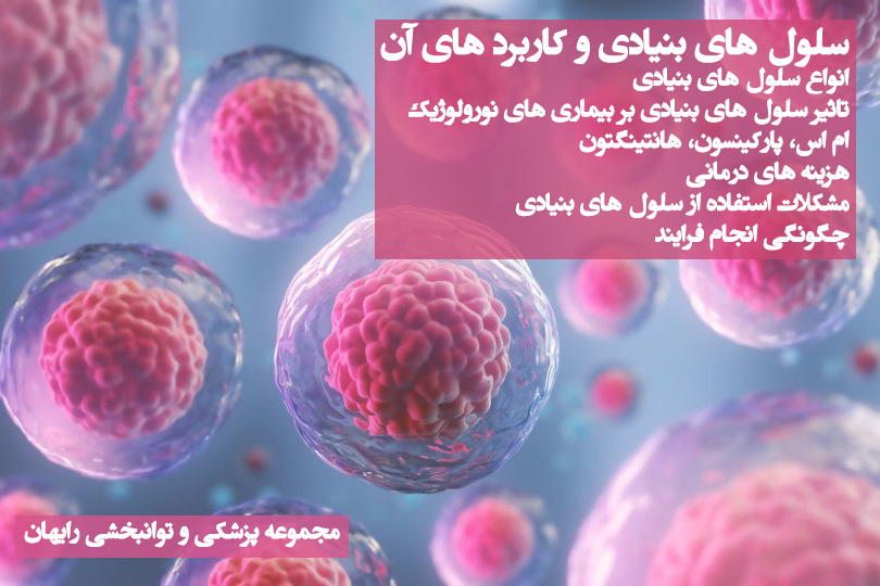 سلول های بنیادی